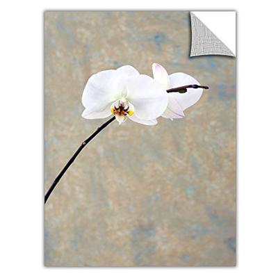 ArtWall ArtApeelz Elena Ray 'Orchid Blossom' Removable Wall Art Graphic 32 by 48-Inch