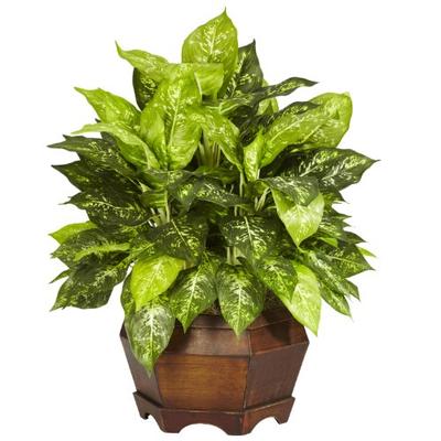 Nearly Natural 6709 Variegated Dieffenbachia with Large Hexagon Decorative Silk Plant, Green
