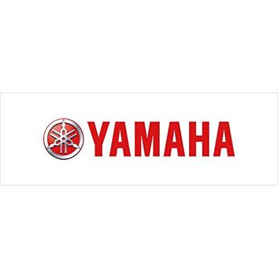 Yamaha Motor 7Td-14451-00-00 Rv Air Cleaner, 3000W By Yamaha