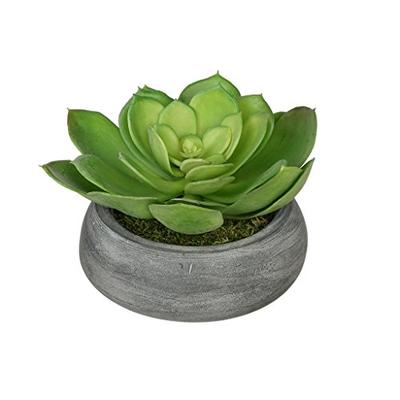 Artificial Echeveria in Washed Bowl Ceramic (Green in Grey-Washed)