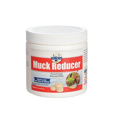 Koi Worx Muck Reducer, 145 tablets, Dry Beneficial Bacteria, Reduces Muck, Sludge, Organic build up,