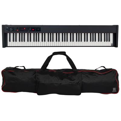 Korg D1 Bag Bundle