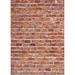 Westcott X-Drop Canvas Backdrop (Classic Brick Wall, 5 x 7') D0142-63X87-CV-MC1