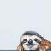 Harriet Bee Carlisa Peeking Sloth Canvas Art Canvas, Solid Wood in Blue | 10 H x 10 W x 1.5 D in | Wayfair C9438C295A5B4CEDB12CE256B3473400