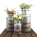 Gracie Oaks Ellensburg 3-Piece Galvanized Steel Pot Planter Set Metal in Red | 17 H x 9 W x 9 D in | Wayfair 5748DCE1764241D78A5A4700F991B991