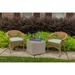 Wildon Home® Outdoor Sunbrella Seat Cushion 19.5" W x 19.5" D Acrylic, Wicker in Green | 2.5 H x 19.5 W in | Wayfair