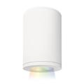 WAC Lighting 4 Inch LED Outdoor Flush Mount - DS-CD05-F-CC-WT