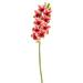 Vickerman 606773 - 33" Purple Cymbidium Stem Real Touch (FA190166) Home Office Flowers with Stems