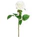 Vickerman 607213 - 26" White Rose Stem Pk/6 (FA191311) Home Office Flowers with Stems