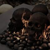 Fire Pit Essentials Ceramic Skulls Fire Pit Lava Rock | 8 H x 8 W x 8 D in | Wayfair 01-0644