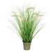 Vickerman 604427 - 26" Green Cattail Grass In Iron Pot (TD190126) Home Office Bushes