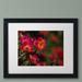 Trademark Fine Art Beauty of Summer Blooms Red by Kurt Shaffer Framed Photographic Print Canvas | 11 H x 14 W x 0.5 D in | Wayfair KS01161-B1114MF