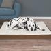 Orthopedic Memory Foam Dog Bed, 44" L X 35" W X 4.75" H, Brown, X-Large