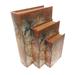 Breakwater Bay Manteno 3 Piece Rusty Map Look Lined Book Decorative Box Set Wood in Brown | 9 W x 2.75 D in | Wayfair