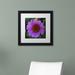 Trademark Fine Art "Purple Coneflower" by Kurt Shaffer Framed Photographic Print Canvas | 16 H x 16 W x 0.5 D in | Wayfair KS01202-B1616MF