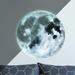 Isabelle & Max™ Moon Glow in the Dark Peel & Stick Giant Wall Decal Vinyl in Black/Gray | 2.5 H x 27 W in | Wayfair