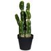 Vickerman 608661 - 14" Green Potted Cactus (FO190114) Home Office Succulents