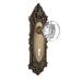 Nostalgic Warehouse Victorian Plate w/ Decorative Keyhole & Round Clear Crystal Door Knob Brass/Crystal in Yellow | 8.25 H x 2.875 W in | Wayfair