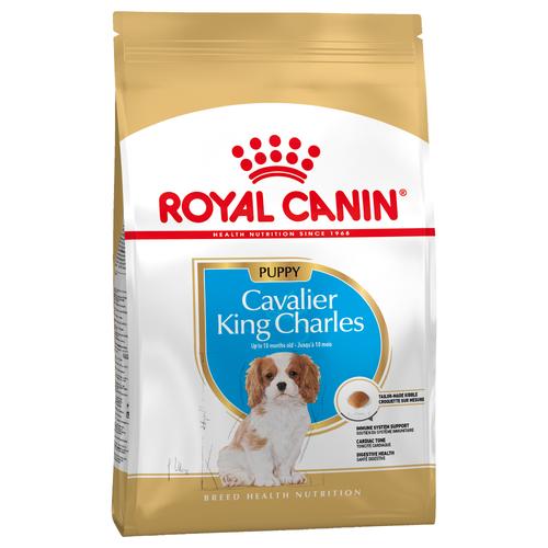 1,5 kg Royal Canin Breed Cavalier King Charles Puppy Hundetrockenfutter