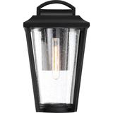 Nuvo Lighting Lakeview 16 Inch Tall 1 Light Outdoor Wall Light - 60/6511