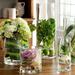 Gracie Oaks Carpen Cylinder Shape Flower Glass Table Vase Glass | 6 H x 4 W x 4 D in | Wayfair 55510B4913CA43B2A82CE06A651F9BCC