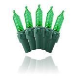 The Holiday Aisle® M5 Twinkle Spacing on Wire 50 Light String Lighting in Green | 1.5 H x 0.25 W x 300 D in | Wayfair