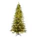 Vickerman 564585 - 10' x 63" Artificial Kamas Fraiser Fir 2200 Warm White Low Voltage 3MM LED Lights Christmas Tree (K184186LED)