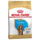 3 kg Royal Canin Cocker Puppy Hundetrockenfutter