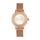Sophie and Freda Quartz Cambridge Alloy Watches 28mm - Rose Gold