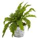 Gracie Oaks Artificial Fern Plant in Planter Silk/Plastic/Metal | 11 H x 16 W x 16 D in | Wayfair 6C6826F225EF49549C096F2C94A35421