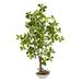 Gracie Oaks Artificial Bonsai Tree in Pot Silk/Plastic/Stone in Gray | 48 H x 23 W x 20 D in | Wayfair C0A8CDD2E9214C9A8A3FDBACB7721927