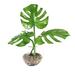 Bay Isle Home™ Philodendron Leaves Plant Silk/Ceramic | 20 H x 19 W x 10 D in | Wayfair 56F697B4831F4FEBBBD805246C14F0AC