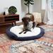 Tucker Murphy Pet™ Chamari Donut Dog Bed Polyester in Blue | 8 H in | Wayfair 63D672FE28D44DA6B365631B076477AD