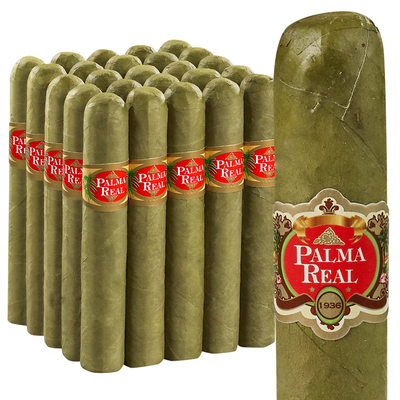 Palma Real Candela - PACK 25