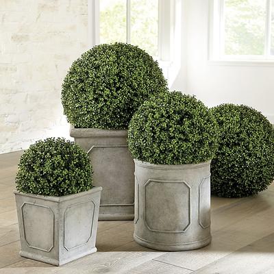 Faux Boxwood Planter Filler - 21.5