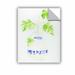 Bay Isle Home™ Botanical IV Removable Wall Decal Vinyl in Green/White | 24 H x 18 W in | Wayfair 32E474A1376D48619F6FBA542BFD271B