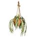 Vickerman 609842 - 22" Staghorn Fern in Hnging Ceramic Pot (FH192001) Home Office Flowers in Pots Vases and Bowls