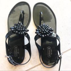 Coach Shoes | Coach Dazzling Black Clasped Sandals Nwot | Color: Black/Gray | Size: 7