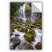 East Urban Home Proxy Falls Oregon 5 Removable Wall Decal Vinyl in White | 24 H x 36 W in | Wayfair 0yor122a2436p