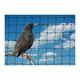 Bird Netting For the Garden 5m x 10m 28mm Anti Starling Knotted 1 1/8" Mesh Heavy Duty Black Net