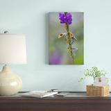 East Urban Home 'Red-Eyed Tree Frog Climbing on Flower, Costa Rica' Photographic Print on Wrapped Canvas in Green/Indigo | Wayfair