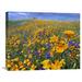 East Urban Home California Poppy & Desert Bluebell Flowers, Antelope Valley, California by Tim Fitzharris - Print on Canvas Canvas | Wayfair