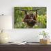 East Urban Home 'Orangutan Young Eating Fruit, Sabah, Borneo, Malaysia' Photographic Print on Wrapped Canvas in Brown/Green | Wayfair