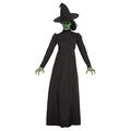 Wicked Witch Costume, Black, with Dress & Hat (XS)