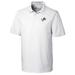 Men's Cutter & Buck White Detroit Lions Americana Fairwood Polo