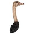 Middle-England 72cm Ostrich Head Wall Art Hanging African Bird Hand Painted Polystone