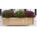 August Grove® Tolchester Cedar Wood Window Box Planter Wood in Brown | 8 H x 37 W x 11 D in | Wayfair 6F6DCE9BB17B417B853CEFBAAA035182