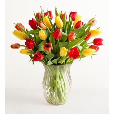 1-800-Flowers Seasonal Gift Delivery Our Favorite Fall Tulips 30 Stems W/ Clear Vase | Best Quality Guaranteed