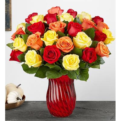 1-800-Flowers Flower Delivery Assorted Fall Rose Bouquet 36 Stems W/ Red Vase