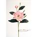 Primrue Magnolia Grandiflora, Synthetic in Pink | 31 H x 8 W x 8 D in | Wayfair DW-850-DURO